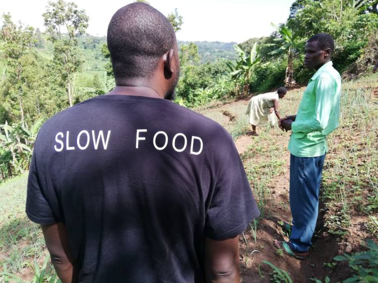 slow food tshirt guy touring Uganda garden
